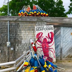 Meet your Posher, Jill